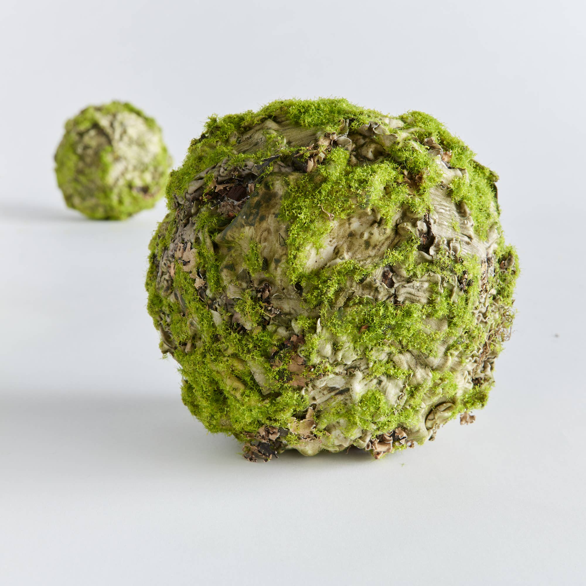 Mossy Lichen Orb 6.5"