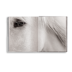 Untamed Spirits: Horses From Around the World