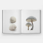 STILL: The Art of Noticing — view 6