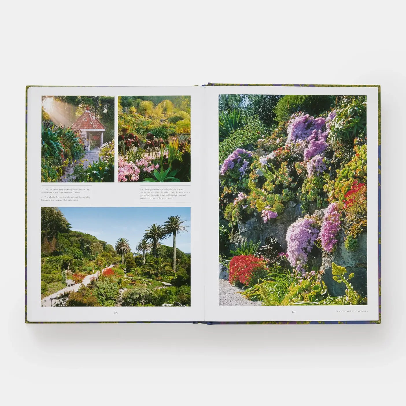 The English Gardener's Garden — view 7