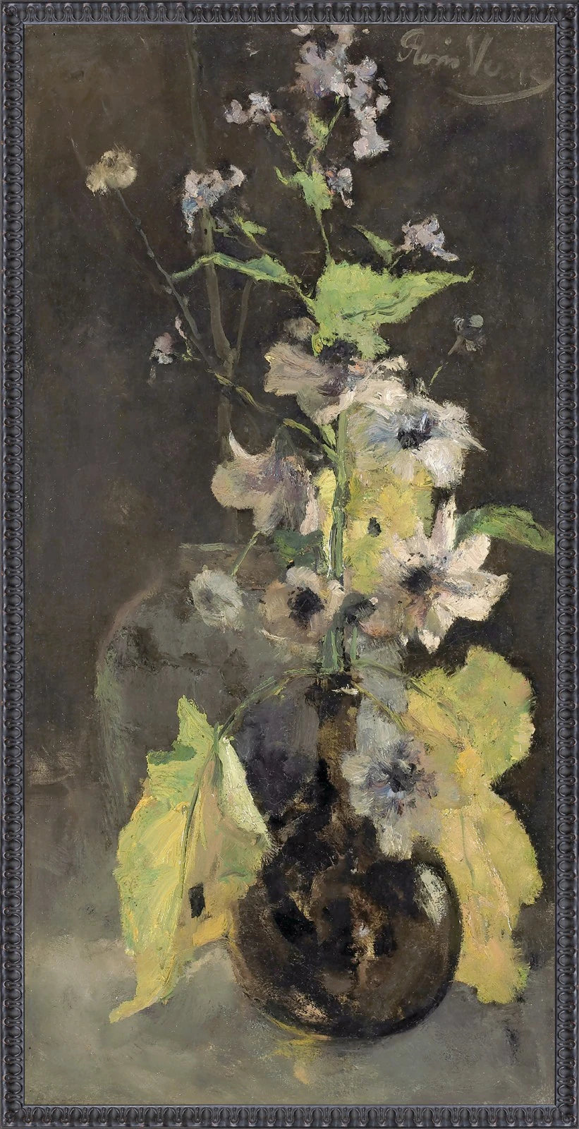Collection 23 - Anemones C. 1888 - Large