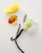 Maison Louis Marie No.15 - Vanille Infinie Perfume Oil