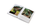 The Avant Gardens