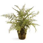 Soft Fern Drop-In 13"