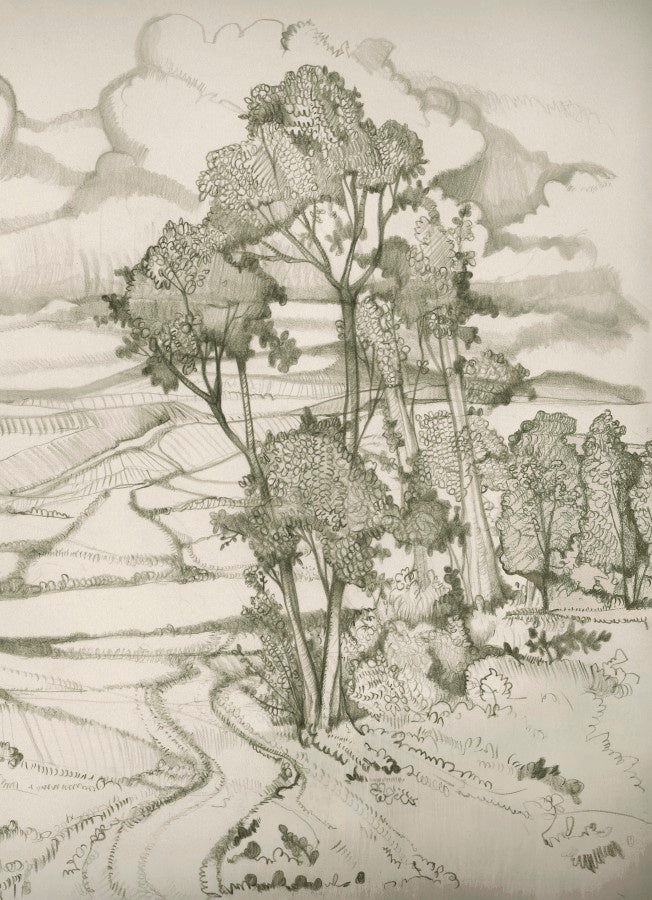 Grace Upon the Earth IV