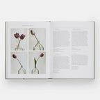The Tulip Garden: Growing and Collecting Rare Species — detail view