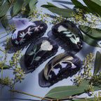 Belladonna Claw - Acetate White Flower Hair Clip