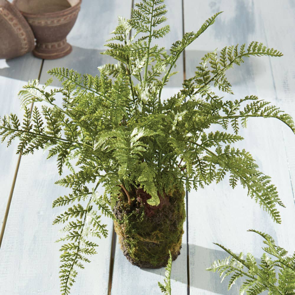Soft Fern Drop-In 13"