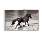 Untamed Spirits: Horses From Around the World