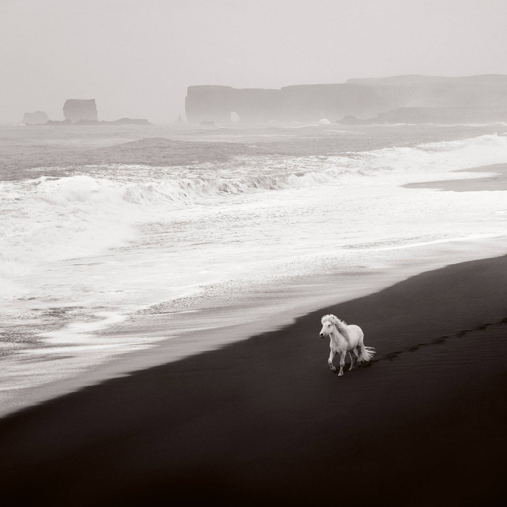 Untamed Spirits: Horses From Around the World