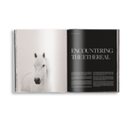 Untamed Spirits: Horses From Around the World