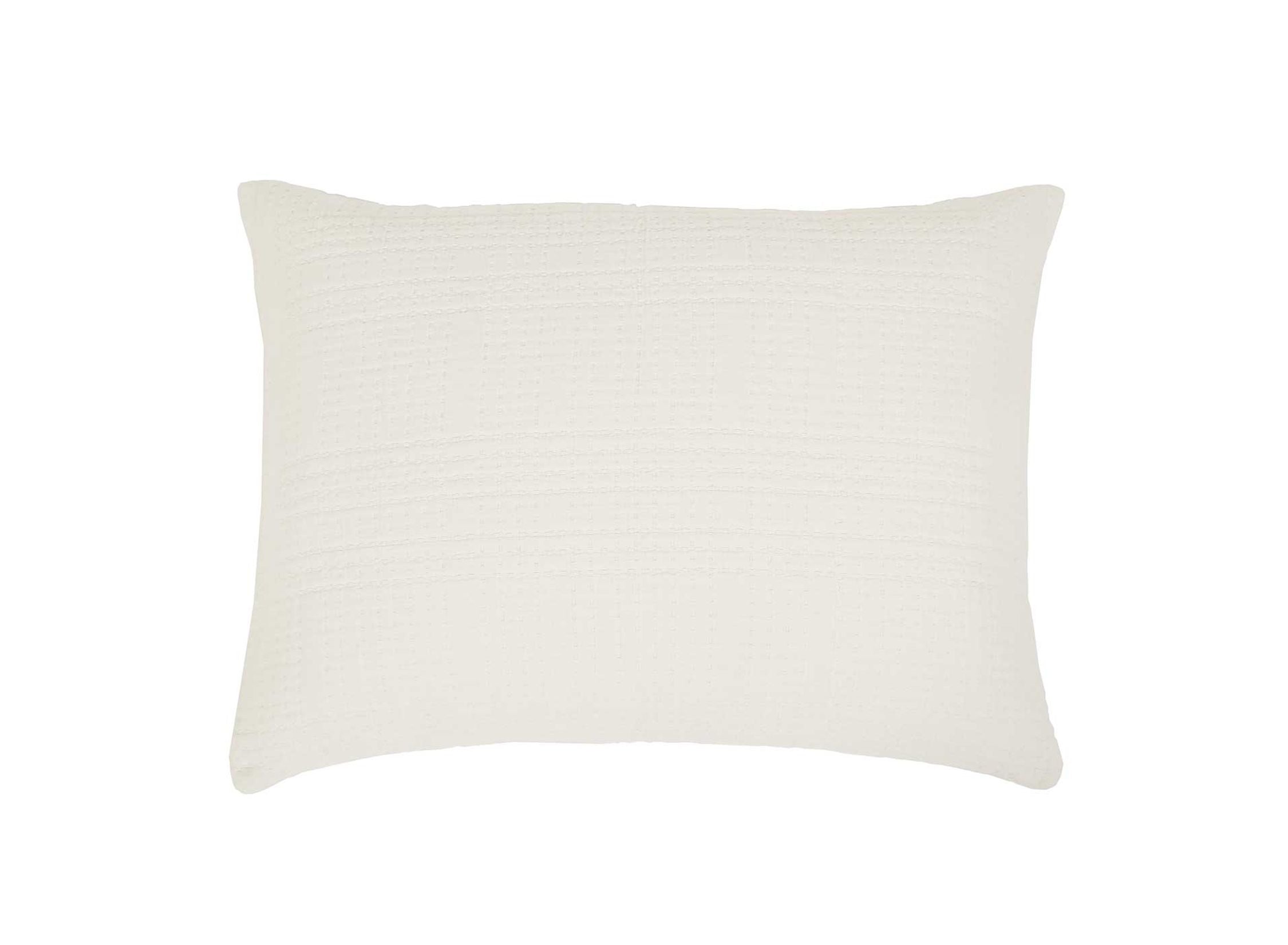Arrowhead Big Pillow - Cream