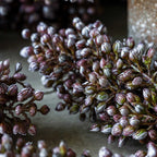 Artificial Sorghum, Sunrise