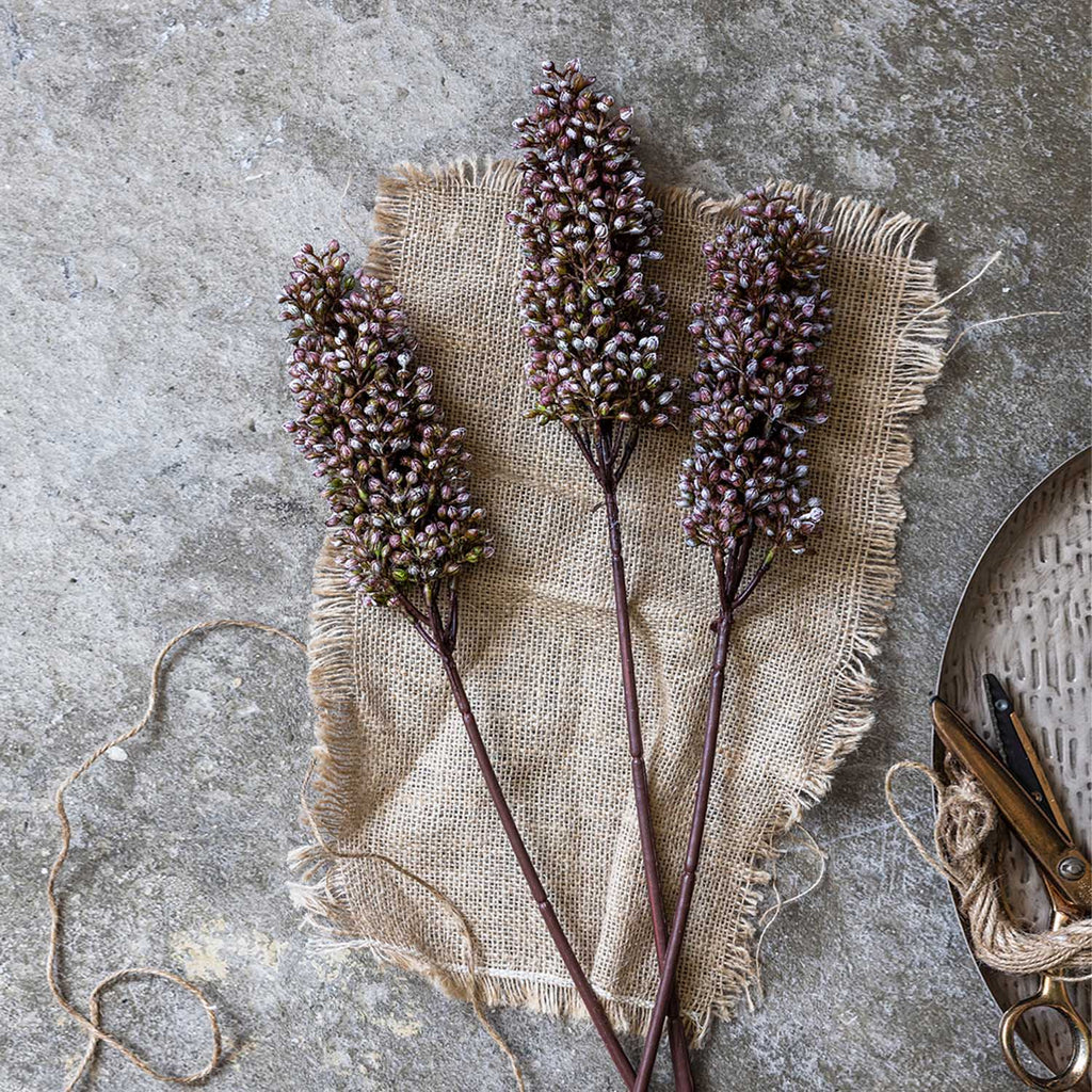 Artificial Sorghum, Sunrise