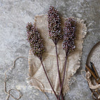 Artificial Sorghum, Sunrise