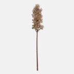 Artificial Sorghum, Sunrise