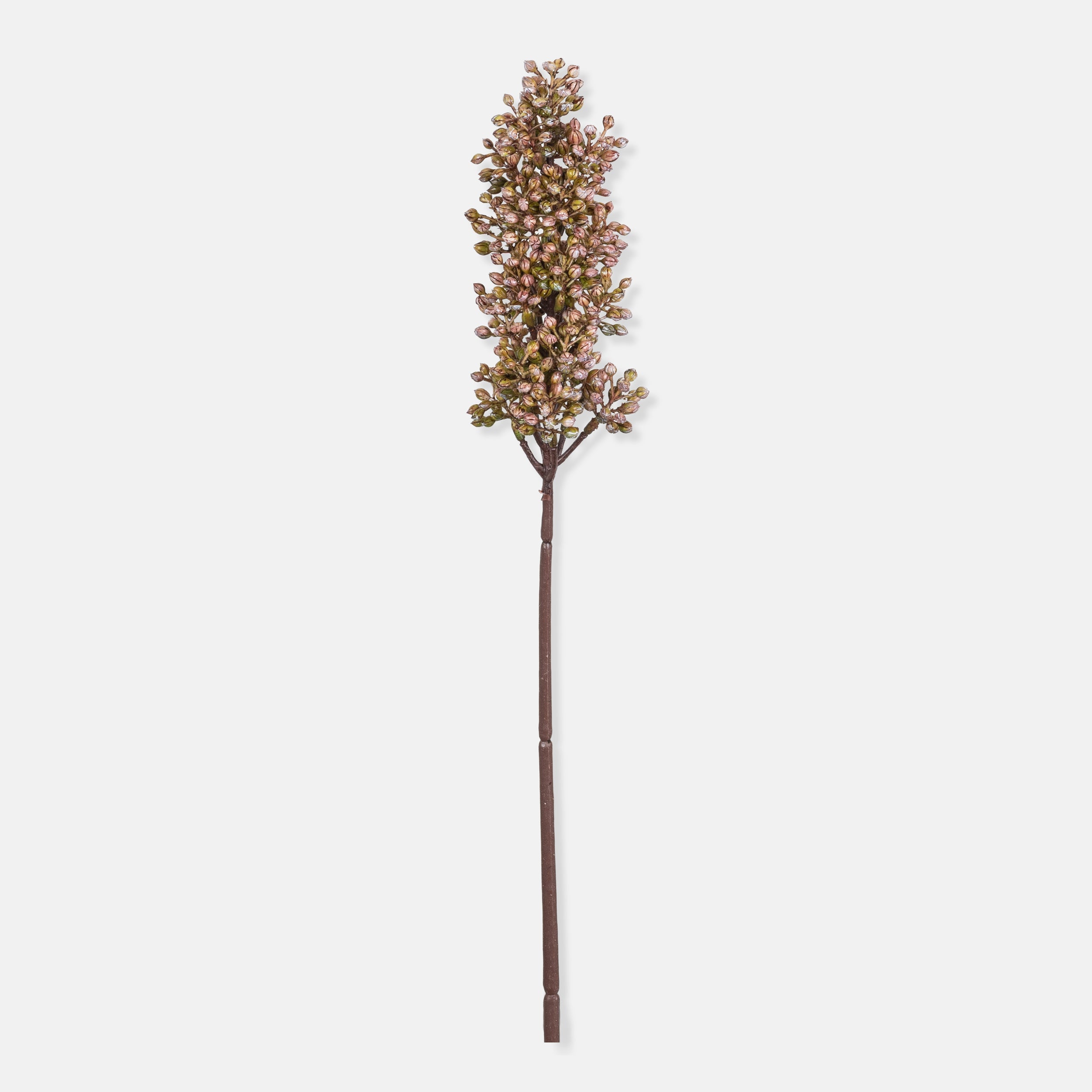 Artificial Sorghum, Sunrise