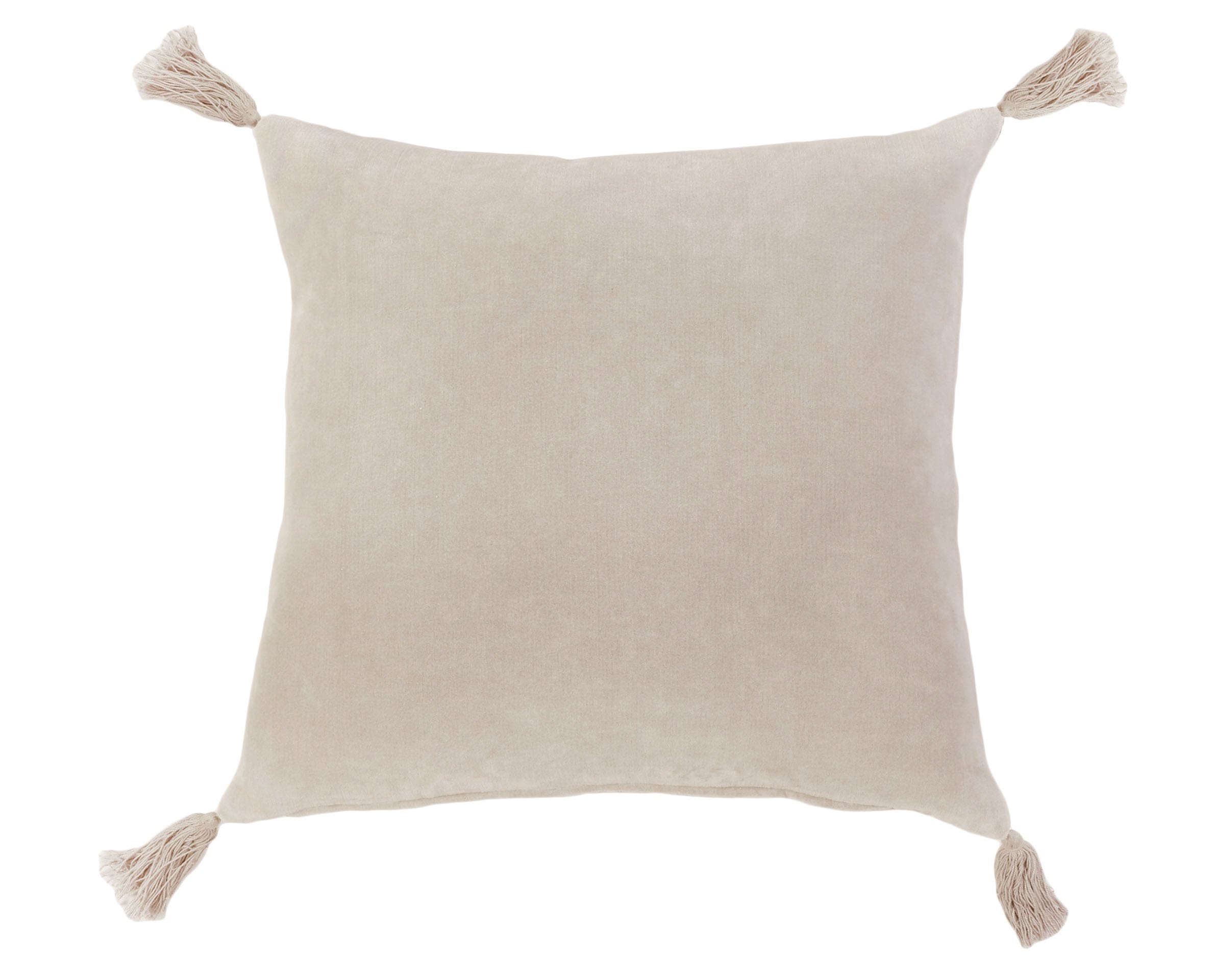 Bianca 20" X 20" Pillow With Insert
