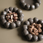 Bright Plate Shiny Dust