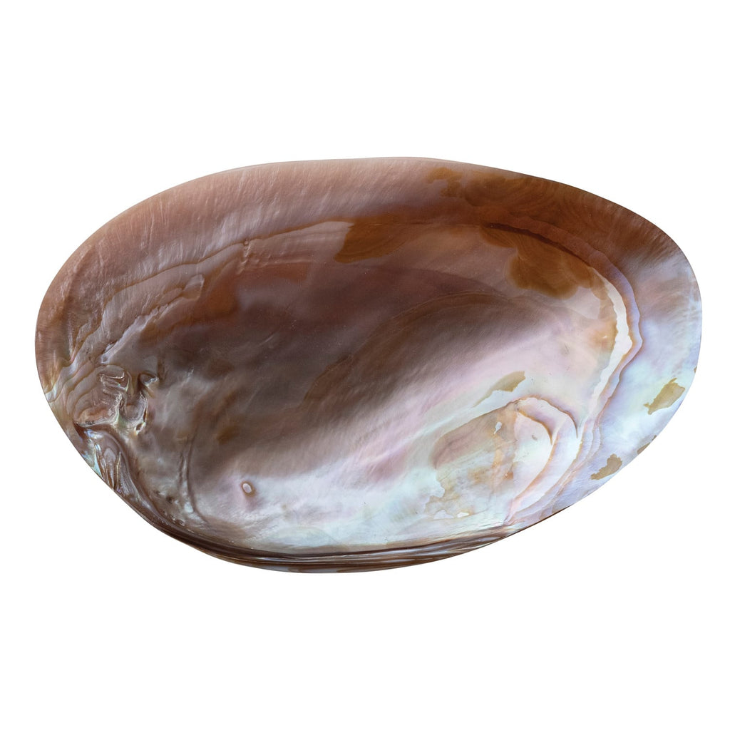 Footed Natural Shell Dish