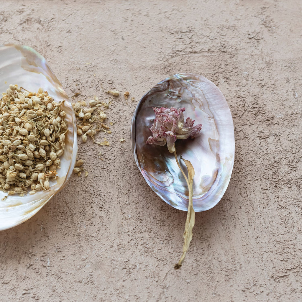 Footed Natural Shell Dish