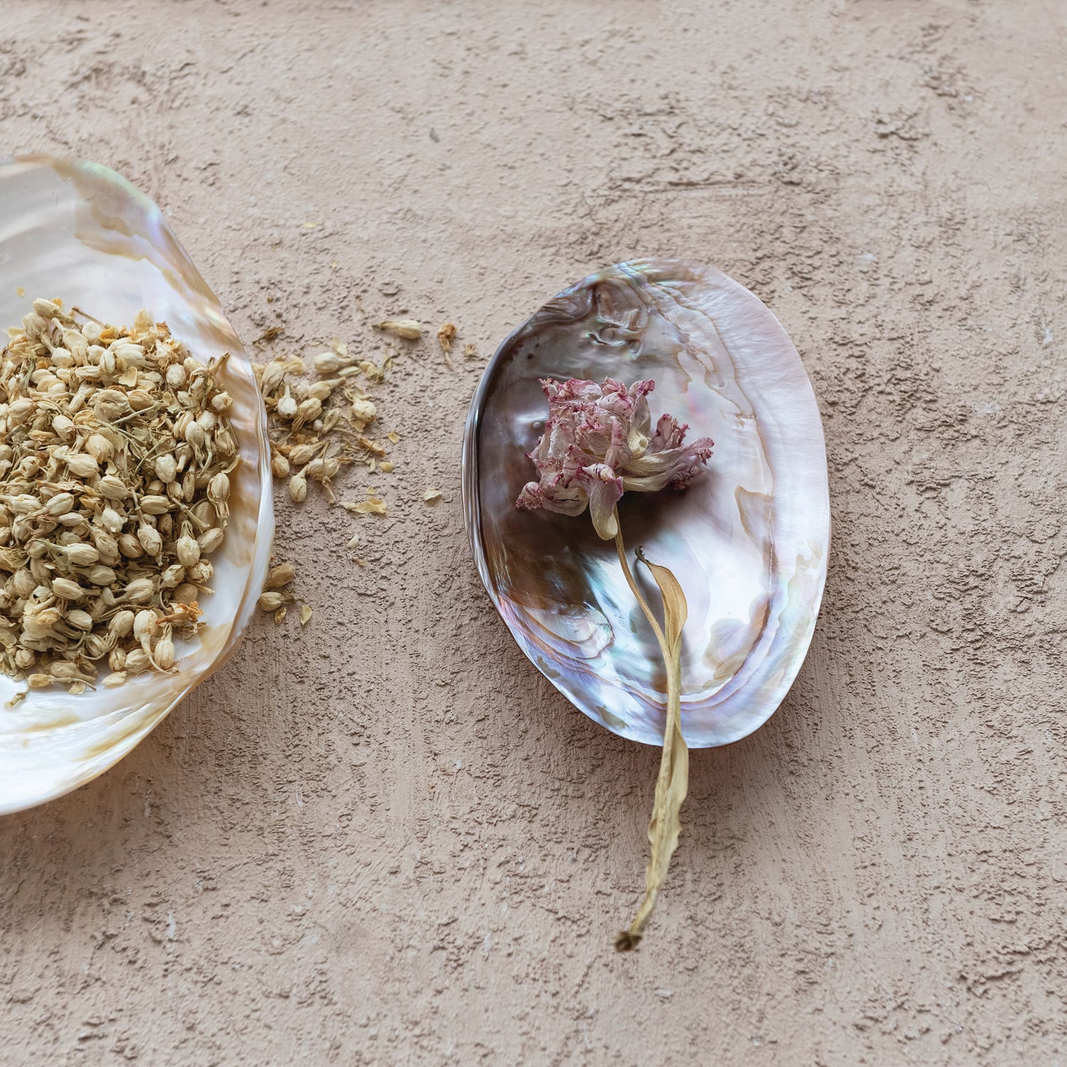 Footed Natural Shell Dish