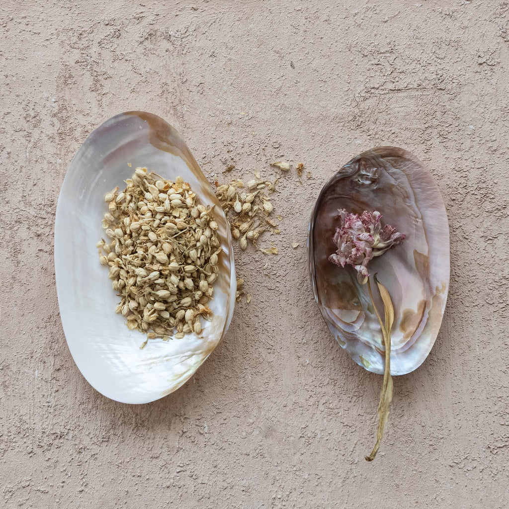 Footed Natural Shell Dish