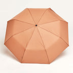 Mocha Mousse Duck Umbrella