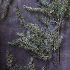 Artificial Cedar and Pinecone Branch