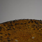 Couscous XL Amber Platter