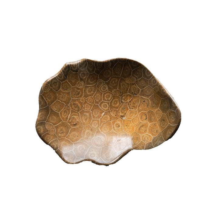 Coral Fossil Bowl, Large
