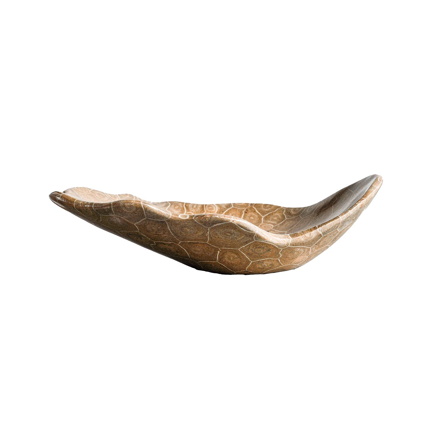 Coral Fossil Bowl, Large