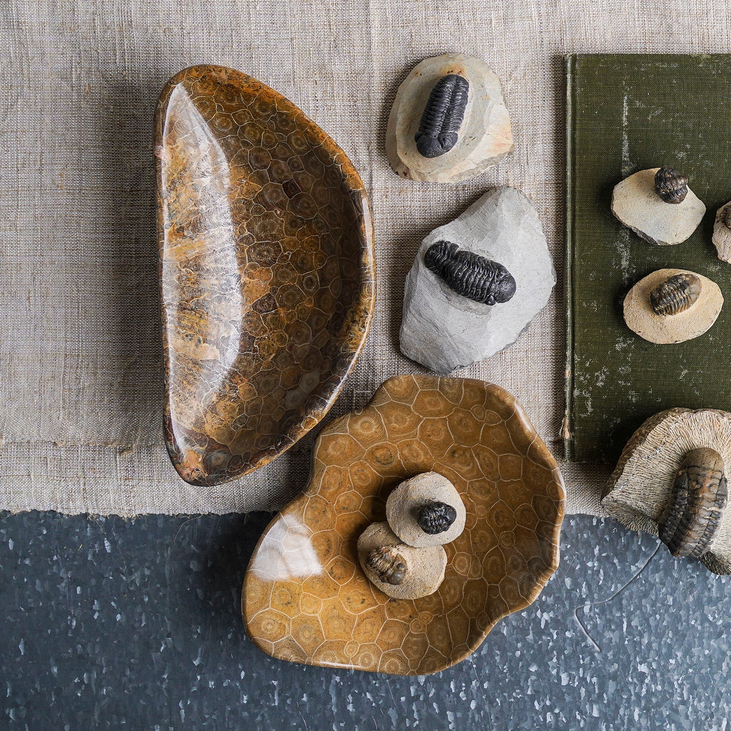 Coral Fossil Bowl, Large