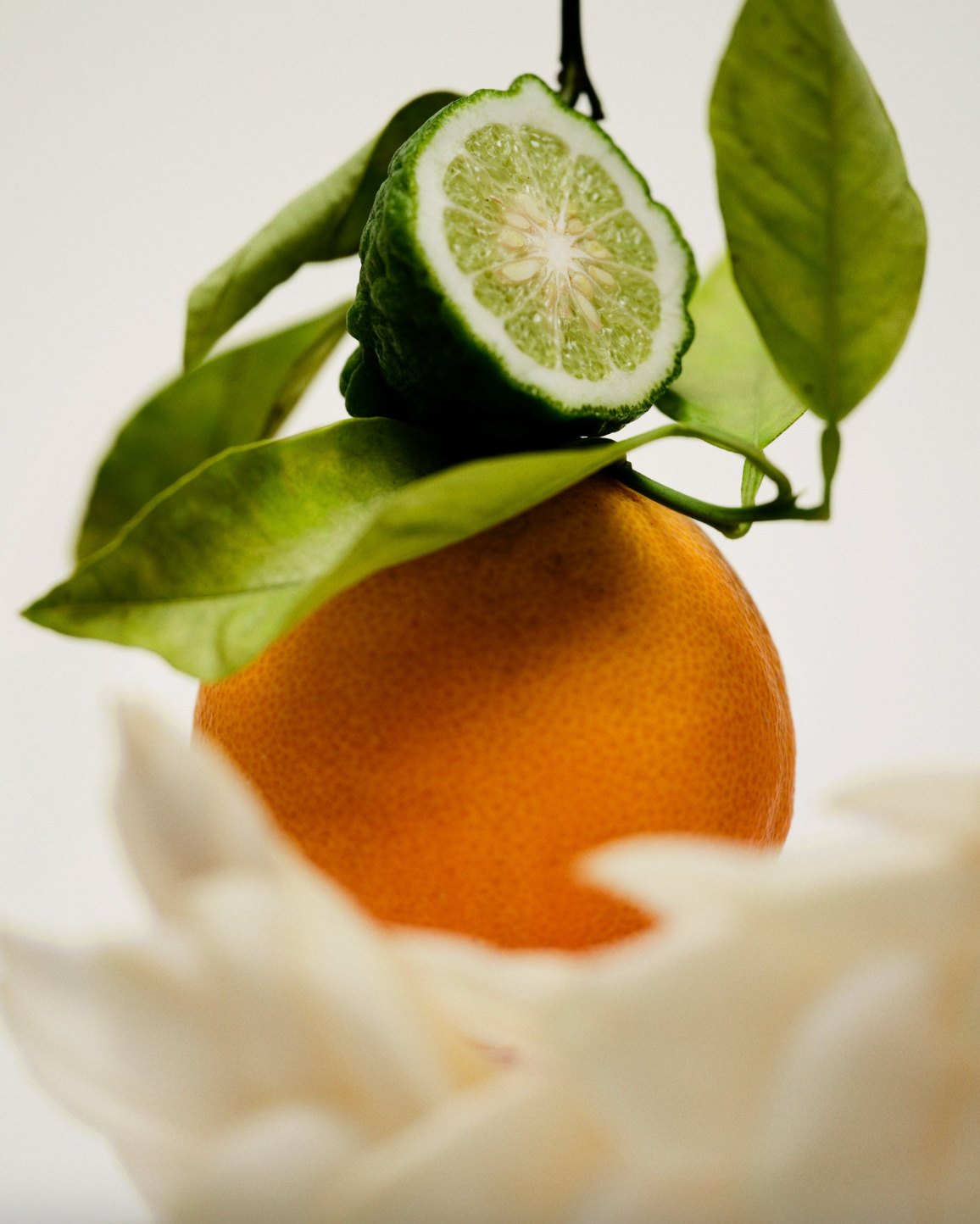 Maison Louis Marie No.12 - Bousval