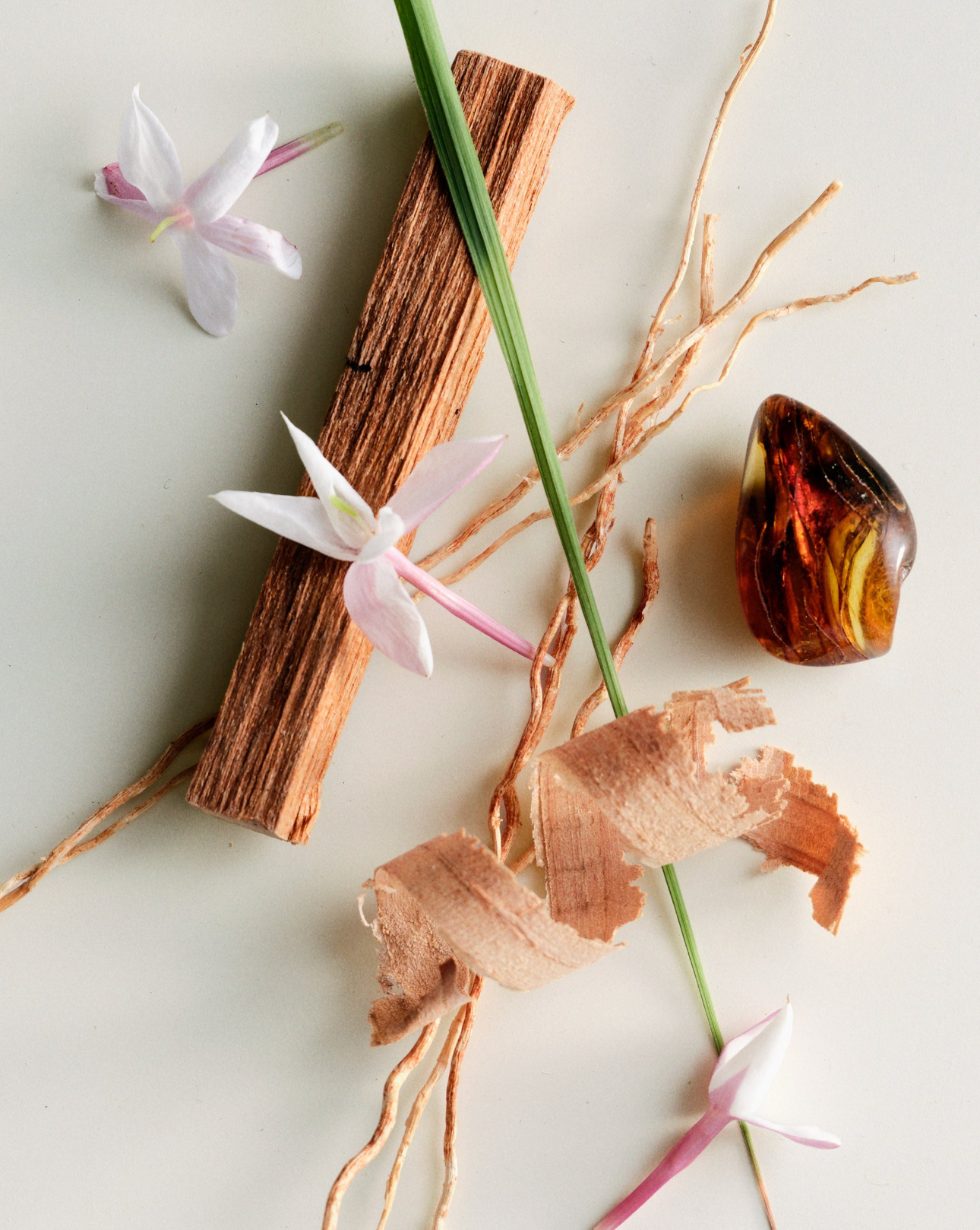 Maison Louis Marie No.04 - Bois de Balincourt Diffuser