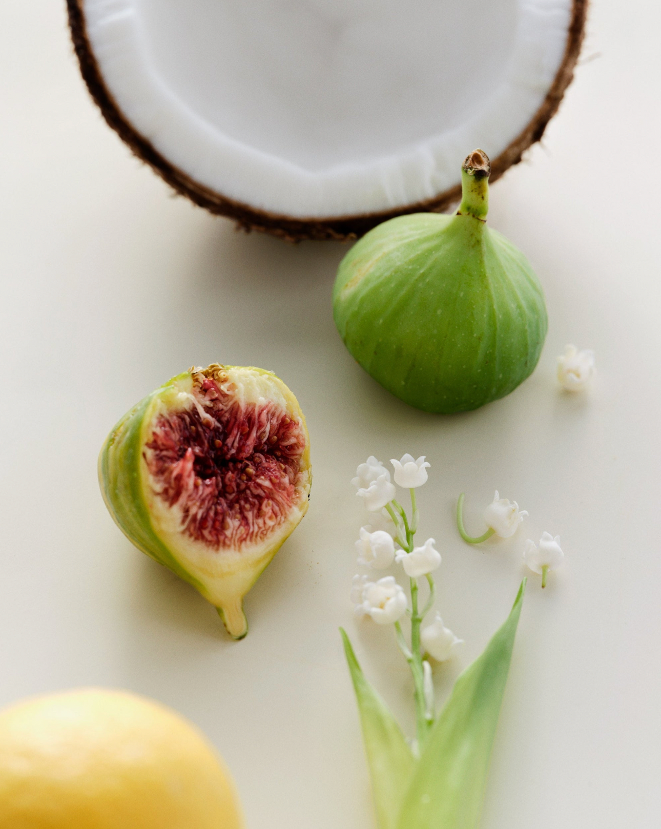 Maison Louis Marie No.13  - Nouvelle Vague Diffuser