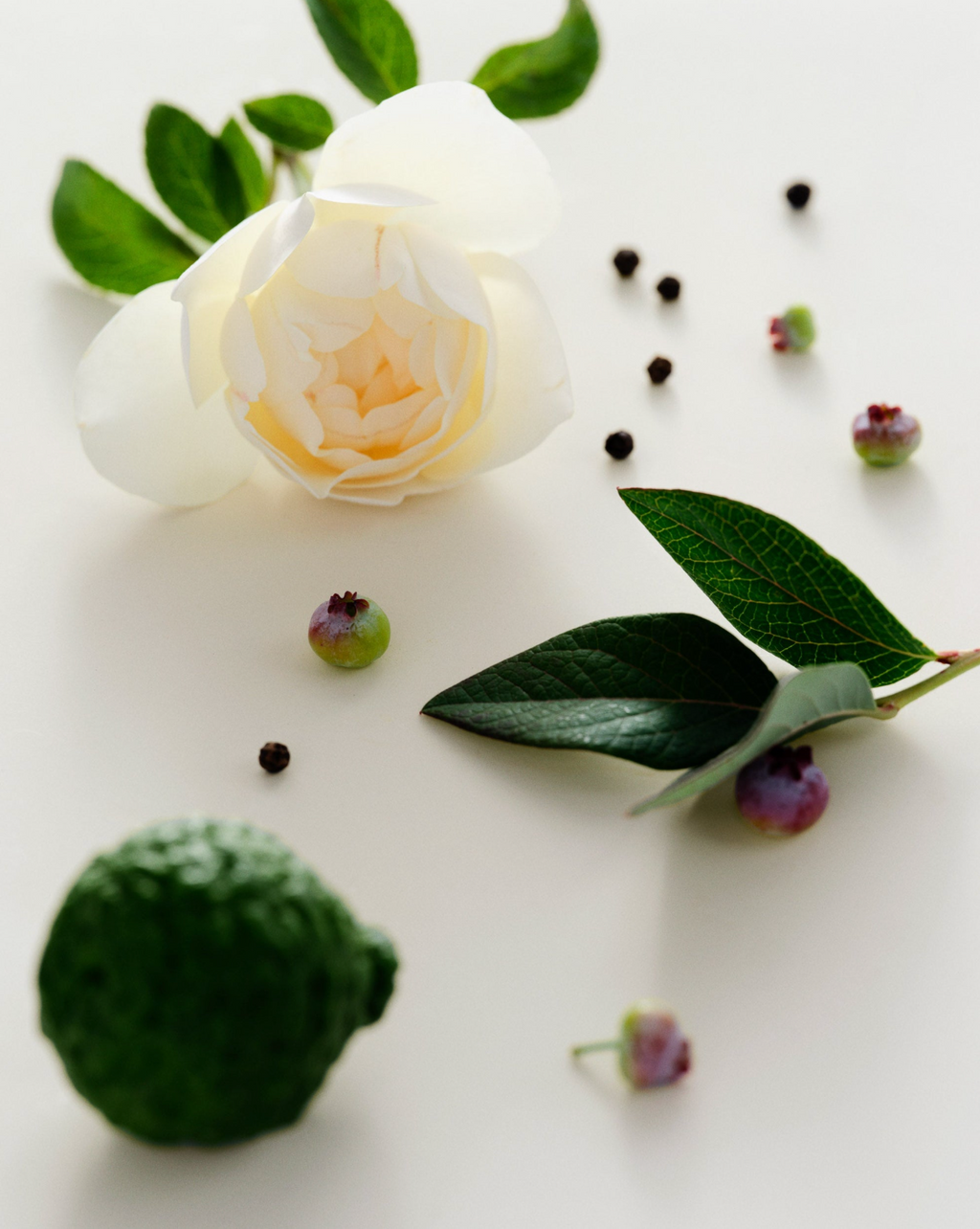 Maison Louis Marie - Antidris/Cassis