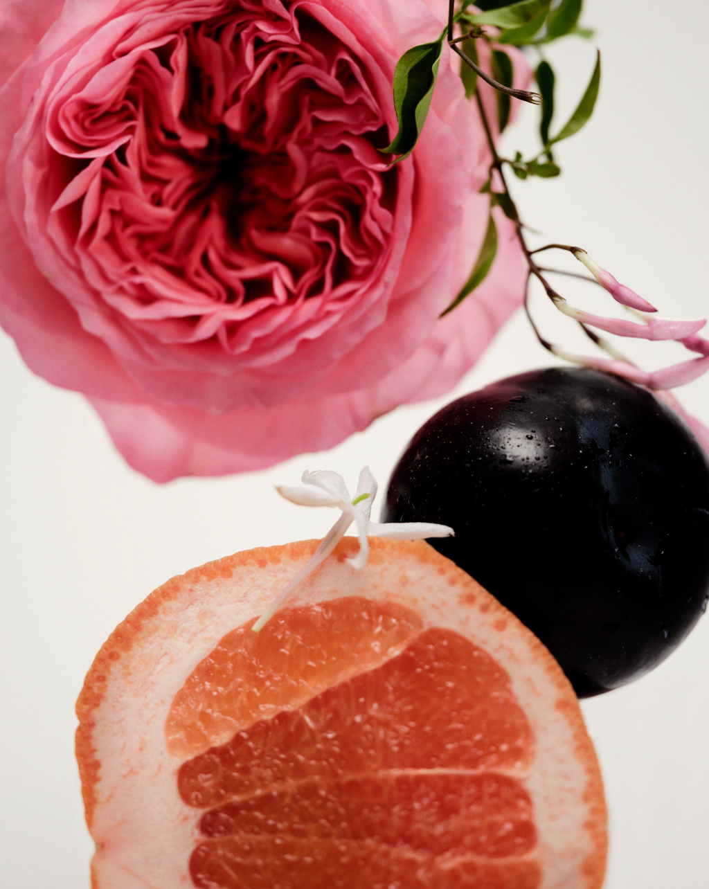 Maison Louis Marie No.14 - Icila Diffuser