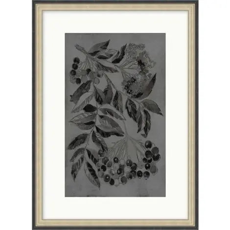 Charcoal Botanical