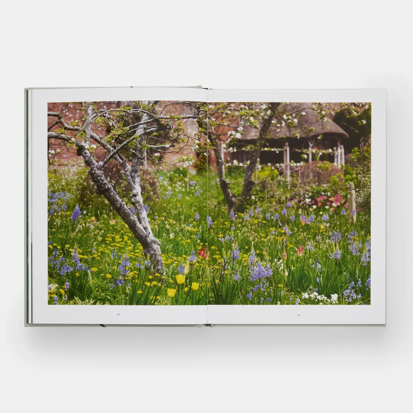 The Tulip Garden: Growing and Collecting Rare Species — view 7