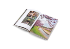 Onsen and Ryokan of Japan