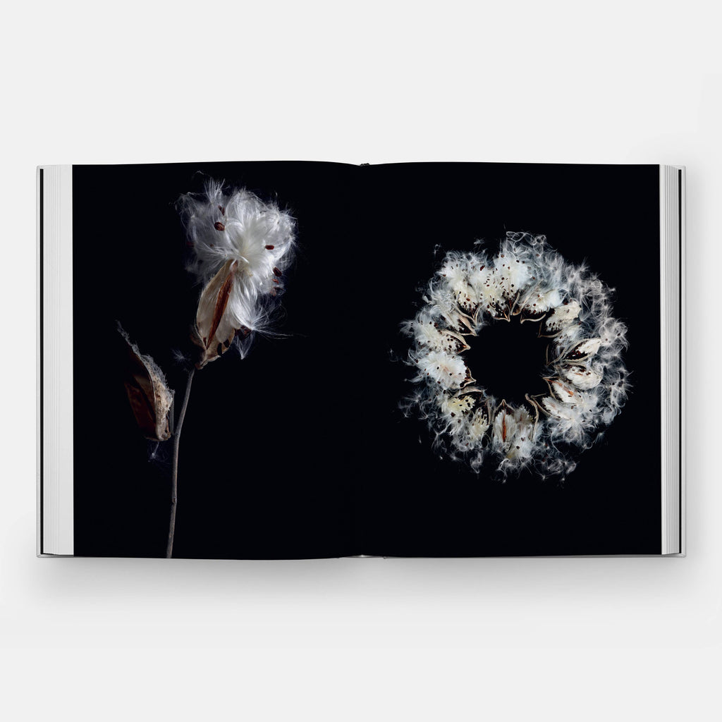 STILL: The Art of Noticing — view 7