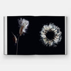 STILL: The Art of Noticing — view 7