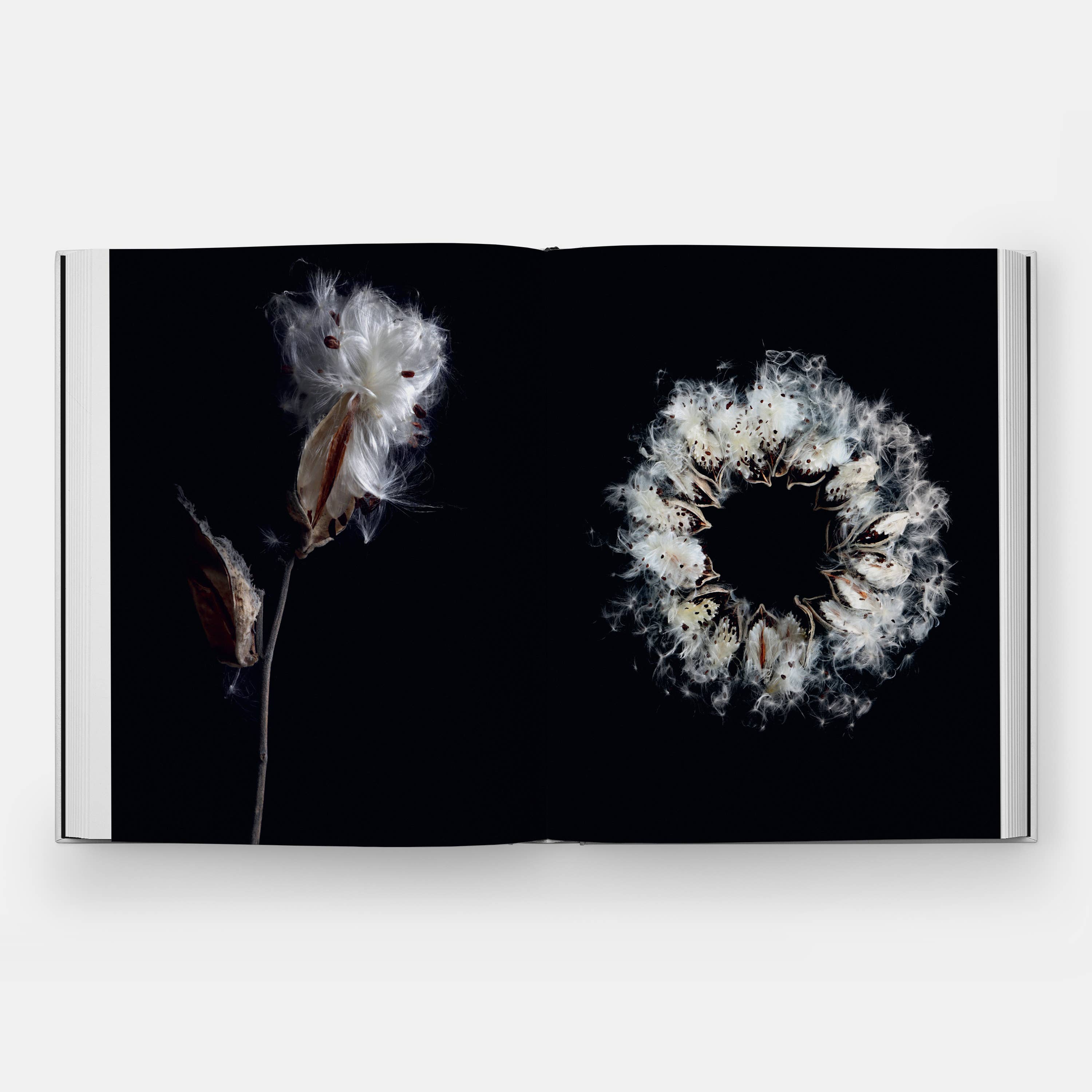 STILL: The Art of Noticing — view 7