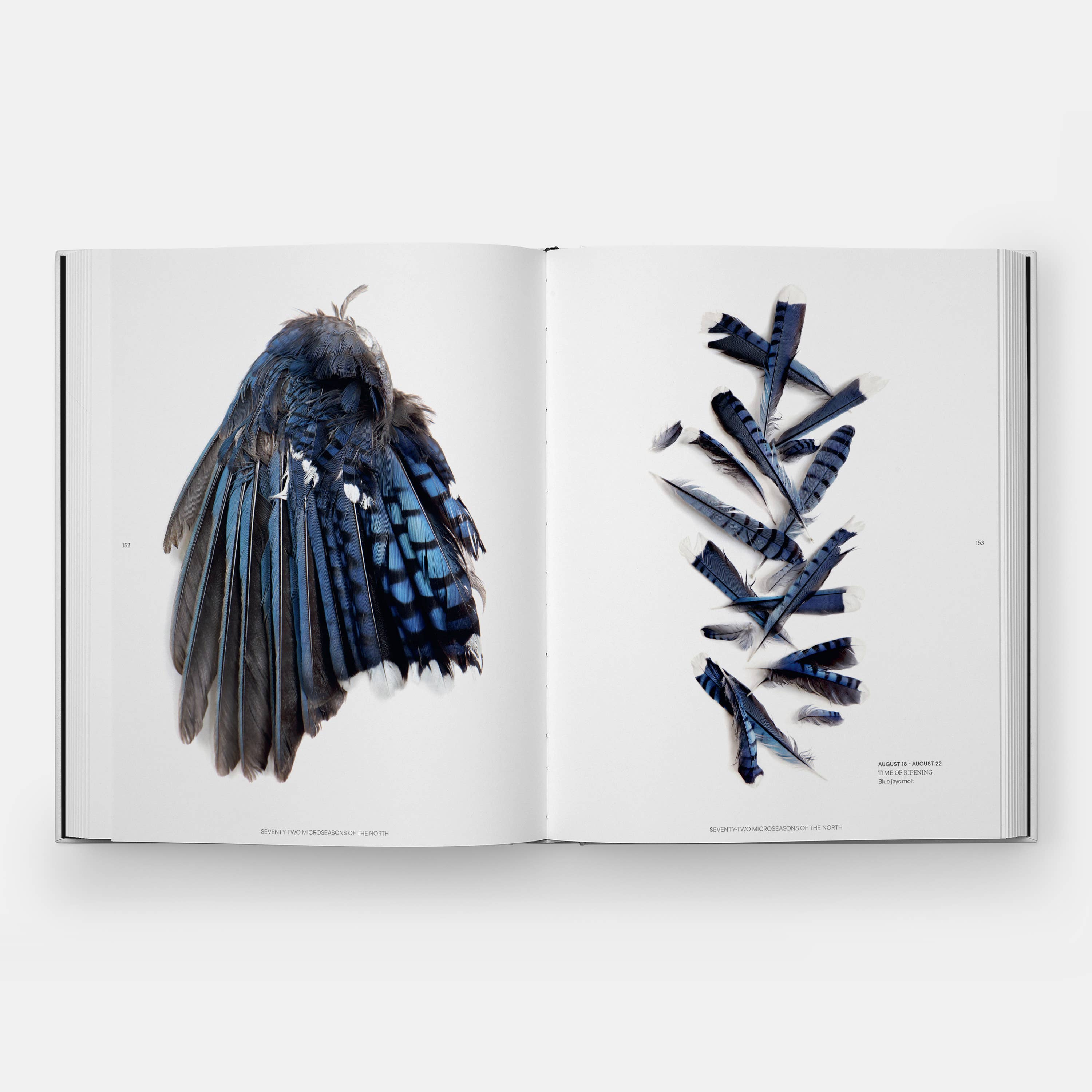 STILL: The Art of Noticing — view 4