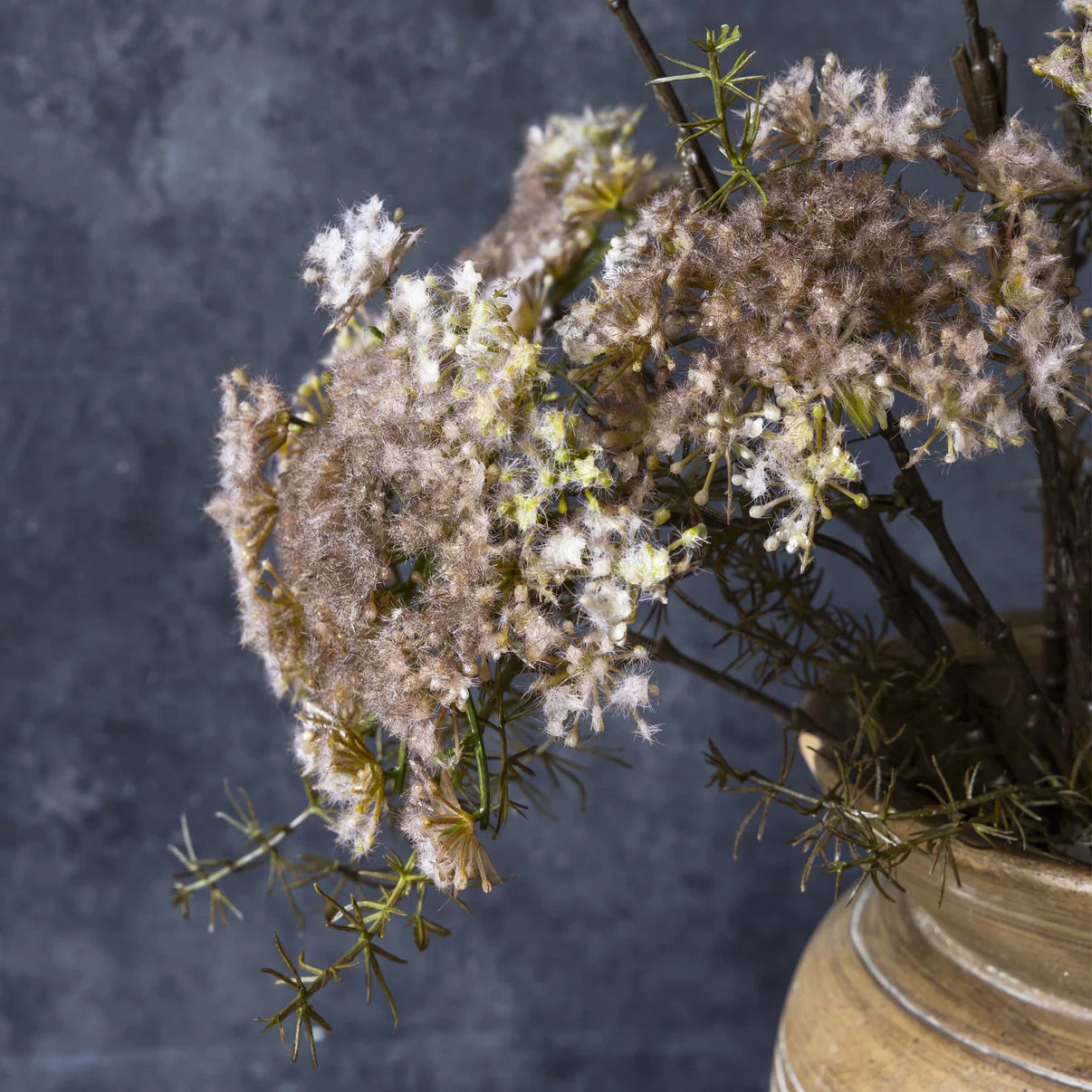 Queen Anne's Lace, Blush