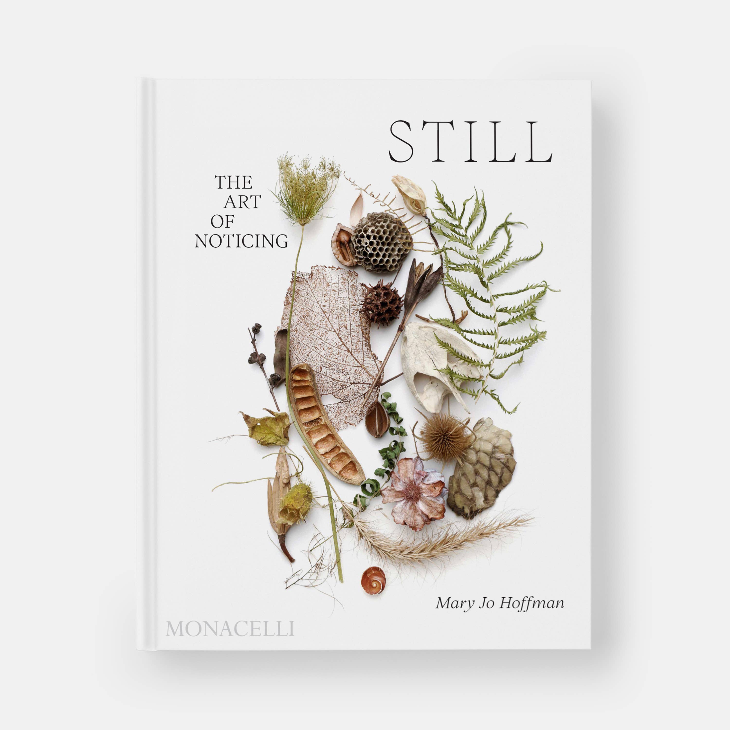 STILL: The Art of Noticing — view 8