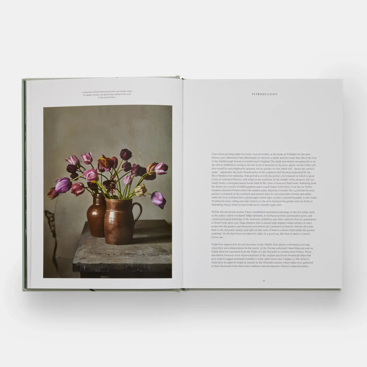The Tulip Garden: Growing and Collecting Rare Species — view 5