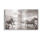 Untamed Spirits: Horses From Around the World