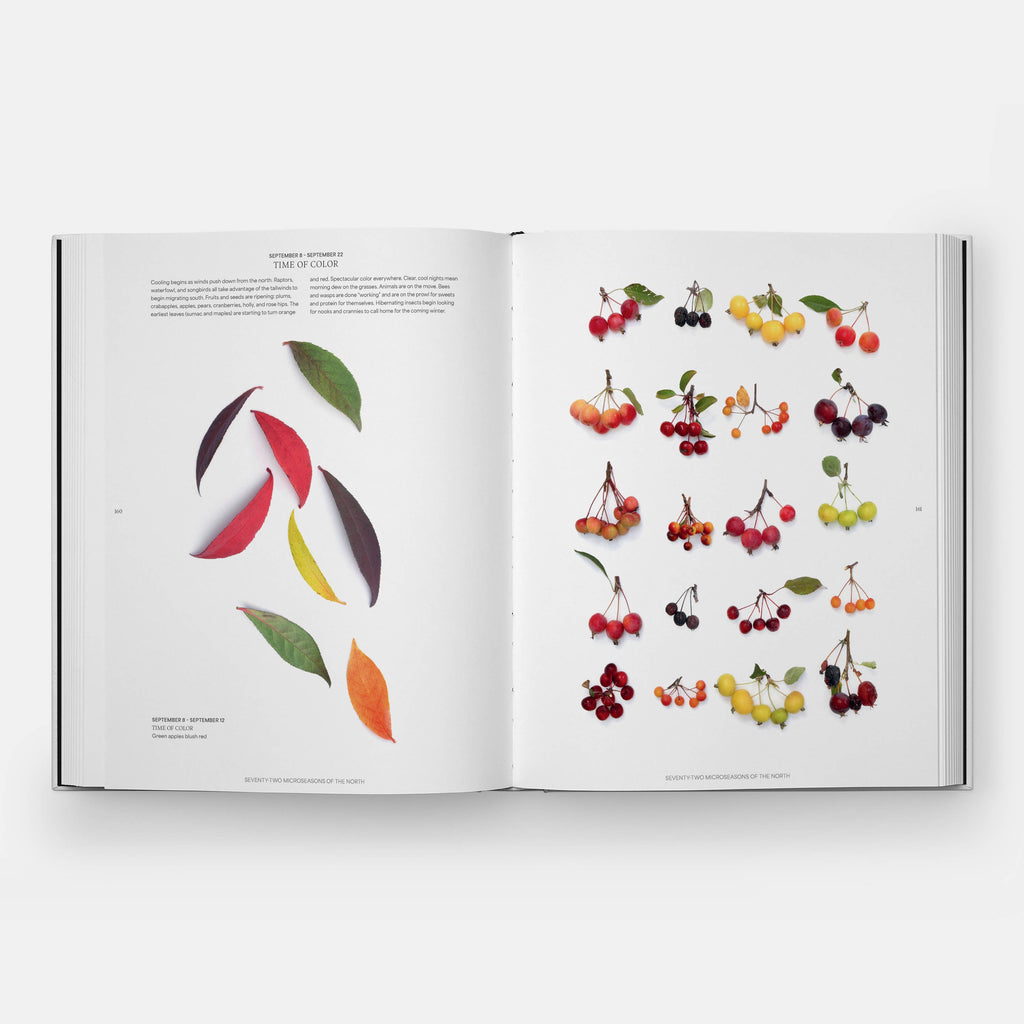 STILL: The Art of Noticing — styled